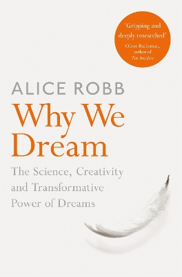 Why We Dream: The Science, Creativity and Transformative Power of Dreams by Alice Robb