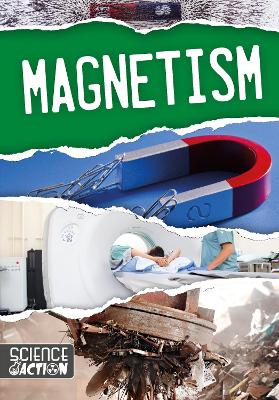 Magnetism book