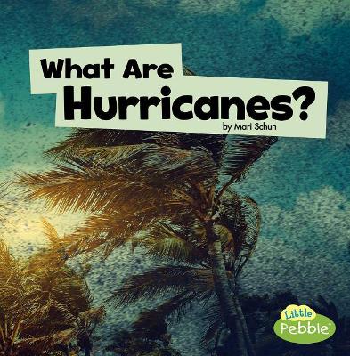 What Are Hurricanes? by Mari Schuh