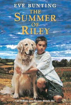 Summer of Riley book