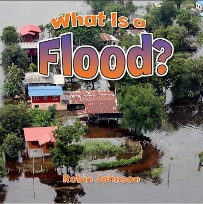 What is a Flood? book