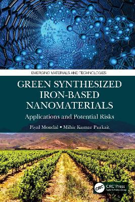 Green Synthesized Iron-based Nanomaterials: Applications and Potential Risks by Piyal Mondal