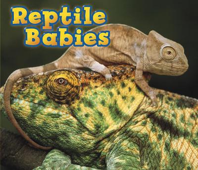 Reptile Babies book