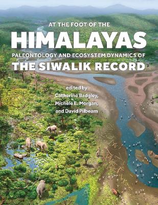 At the Foot of the Himalayas: Paleontology and Ecosystem Dynamics of the Siwalik Record book