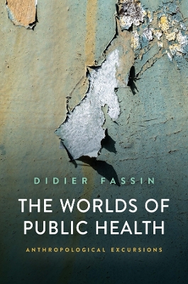 The Worlds of Public Health: Anthropological Excursions book