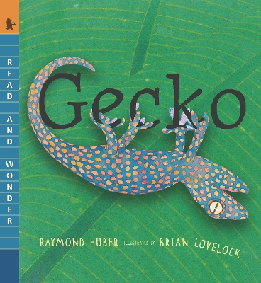 Gecko by Raymond Huber