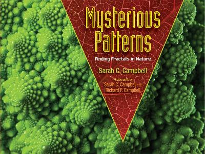 Mysterious Patterns book