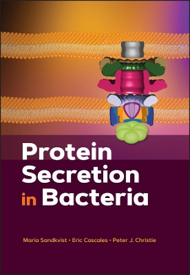 Protein Secretion in Bacteria book