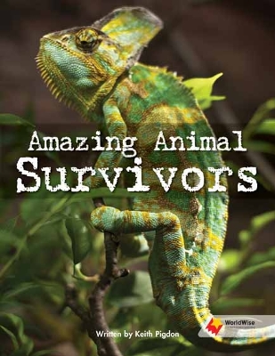 Amazing Animal Survivors book