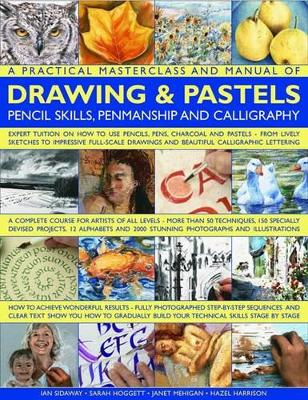 Practical Masterclass and Manual of Drawing & Pastels book