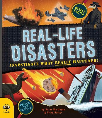 Real-life Disasters: Investigate What Really Happened! book