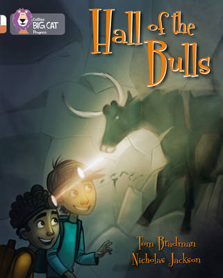 Hall of the Bulls book