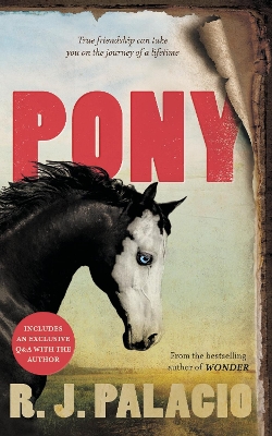 Pony: from the bestselling author of Wonder by R. J. Palacio