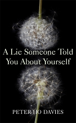A Lie Someone Told You About Yourself by Peter Ho Davies