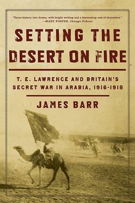 Setting the Desert on Fire book