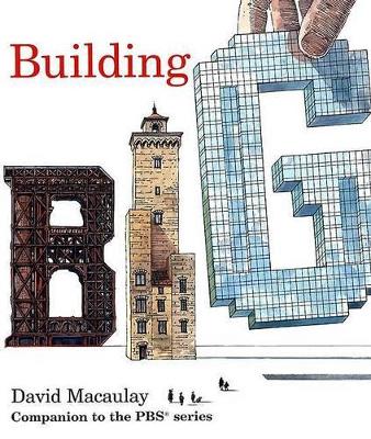 Building Big book