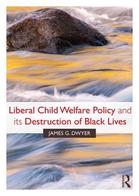 Liberal Child Welfare Policy and its Destruction of Black Lives book