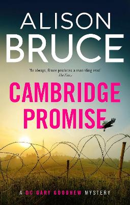 The Promise by Alison Bruce