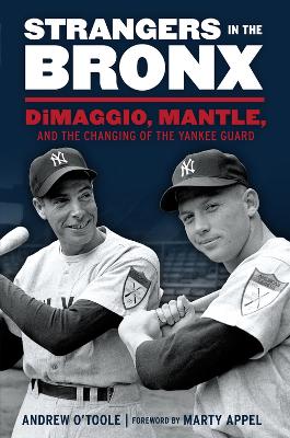 Strangers in the Bronx book