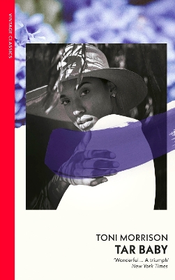 Tar Baby book