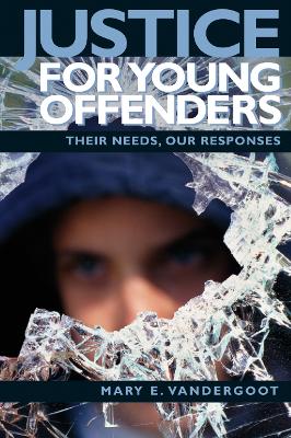 Justice for Young Offenders book