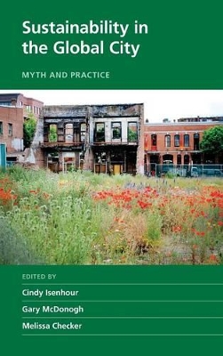 Sustainability in the Global City book