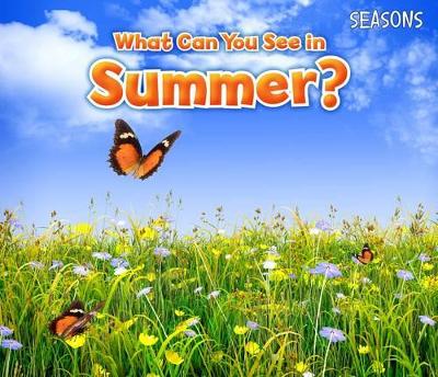 What Can You See In Summer? by Sian Smith