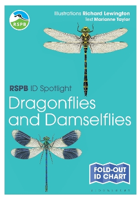 RSPB ID Spotlight - Dragonflies and Damselflies book