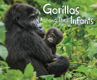 Gorillas and Their Infants by Margaret Hall
