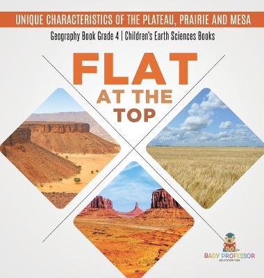 Flat at the Top: Unique Characteristics of the Plateau, Prairie and Mesa Geography Book Grade 4 Children's Earth Sciences Books book