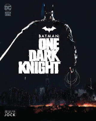 Batman: One Dark Knight book