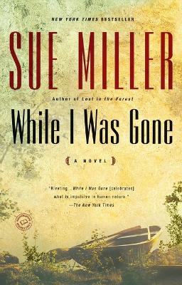 While I Was Gone book