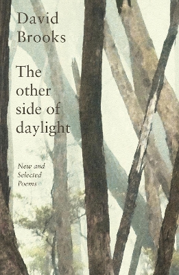 The Other Side of Daylight: New and Selected Poems book