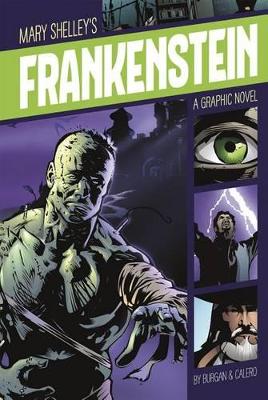 Frankenstein book