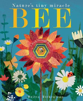Bee: Nature's tiny miracle by Britta Teckentrup