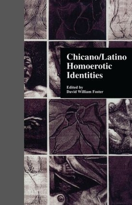 Chicano/Latino Homoerotic Identities by David W. Foster