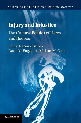 Injury and Injustice: The Cultural Politics of Harm and Redress book