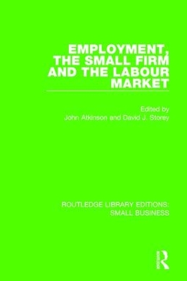 The Employment, the Small Firm and the Labour Market by David J. Storey