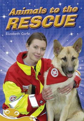 Bug Club Level 22 - Gold: Animals to the Rescue (Reading Level 22/F&P Level M) book