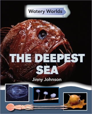 Watery Worlds: The Deepest Sea book
