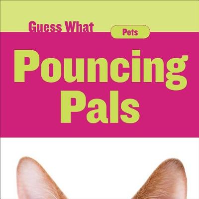 Pouncing Pals book