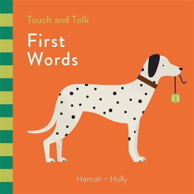 Hannah + Holly Touch and Talk: First Words book