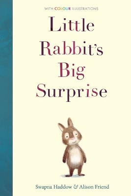 Little Rabbit's Big Surprise book