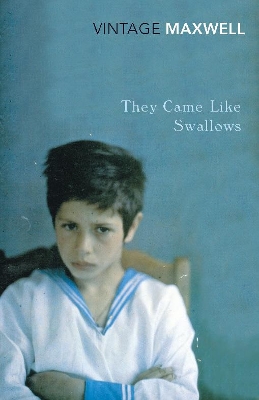 They Came Like Swallows book