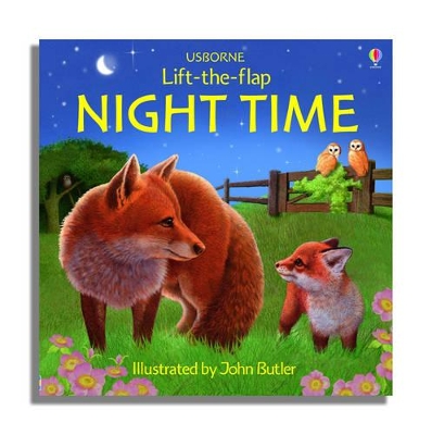 Night Time book