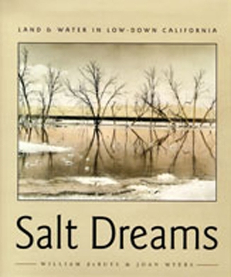 Salt Dreams book