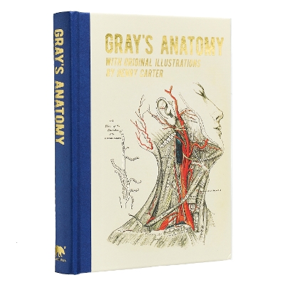 Gray's Anatomy: With Original Illustrations by Henry Carter by Henry Gray