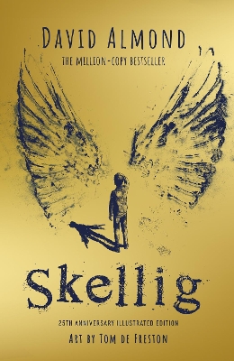 Skellig: the 25th anniversary illustrated edition by David Almond