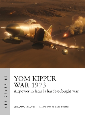 Yom Kippur War 1973: Airpower in Israel's hardest-fought war book