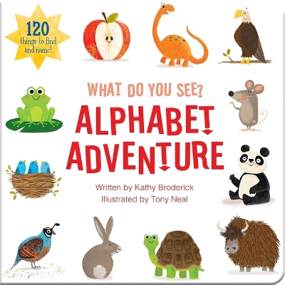 Alphabet Adventure What Do You See book